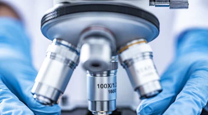 Le mystère de la paternité